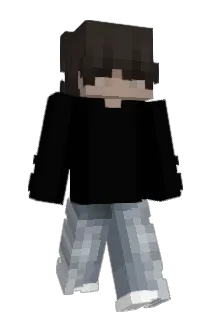 _antxnin Minecraft avatar full body