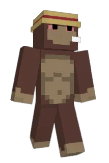 _bid Minecraft avatar full body