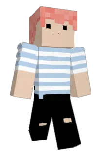 _blim Minecraft avatar full body
