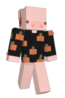 _broomstick_ Minecraft avatar full body