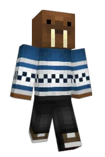 _dzoni Minecraft avatar full body