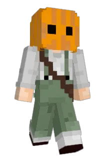 _flane Minecraft avatar full body