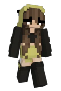 _flombee Minecraft avatar full body