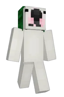 _iggaEnjoyer Minecraft avatar full body