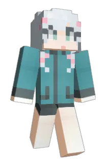 _inseul Minecraft avatar full body