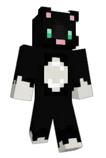 _letter_ Minecraft avatar full body