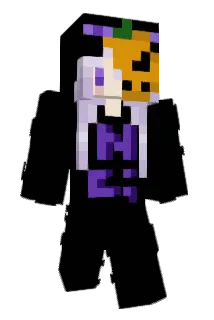 _nc25_ Minecraft avatar full body