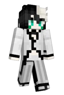 _notbliss Minecraft avatar full body