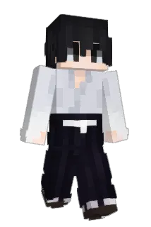 _t0 Minecraft avatar full body