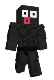 _together Minecraft avatar full body