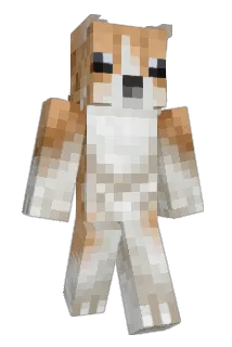 _urbanity Minecraft avatar full body