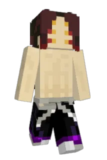 _wopa_ Minecraft avatar full body