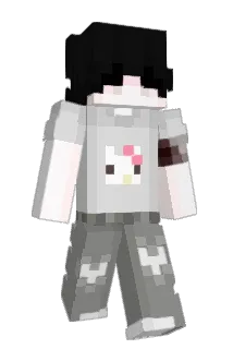 _xShadowz Minecraft avatar full body