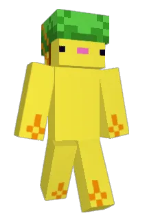 _xandirek Minecraft avatar full body