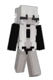 _xse Minecraft avatar full body
