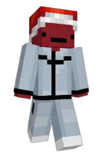 _zwolin Minecraft avatar full body