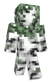 Skin preview