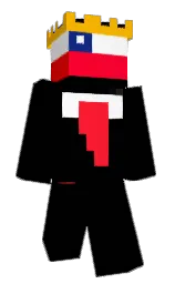 black and white Minecraft skin — Slim model — first worn by ProcyonTiger