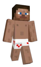 Minecraft skin — Classic model