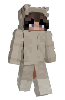 aridago's Minecraft skin