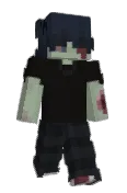 naswaii