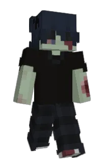 Front of naswaii's skin
