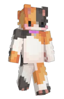 sirkroko's Minecraft skin