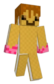 Front of bodoji's skin