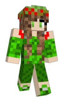 Front of Irit's skin