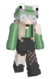 Skin preview