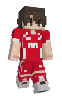 Front of misinek's skin
