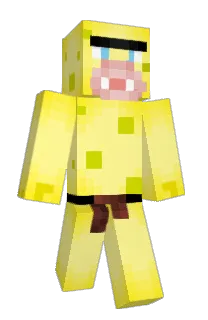 Front of ottmah's skin