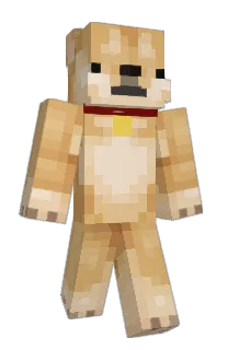Front of Dcimo's skin