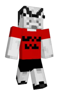 Front of Checkit2's skin