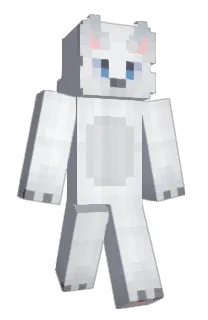 Front of D0DOSAE's skin