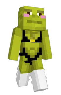 Front of Minecraft skin