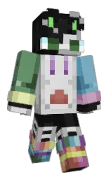 Minecraft skin — Classic model