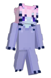 Front of NoMoreZvyn's skin