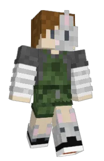 Front of Minecraft skin