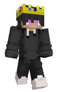 Front of 246x's skin