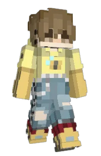 Front of Netlocus's skin