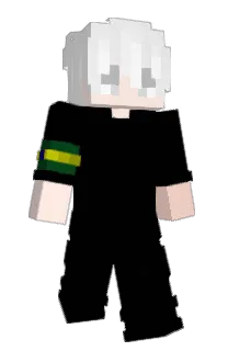 Front of injetando's skin