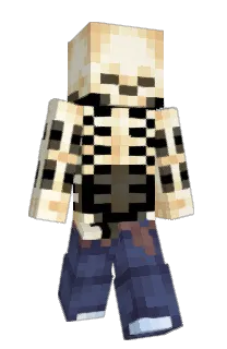 Front of pdslk's skin