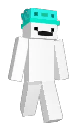 Slim Minecraft skin