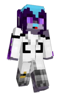 Front of paskchip's skin