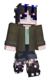 Skin preview