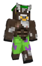 Skin preview
