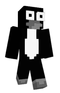 Front of Graxity's skin