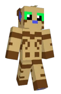 Front of Flexico64's skin