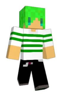 a10101 Minecraft avatar full body